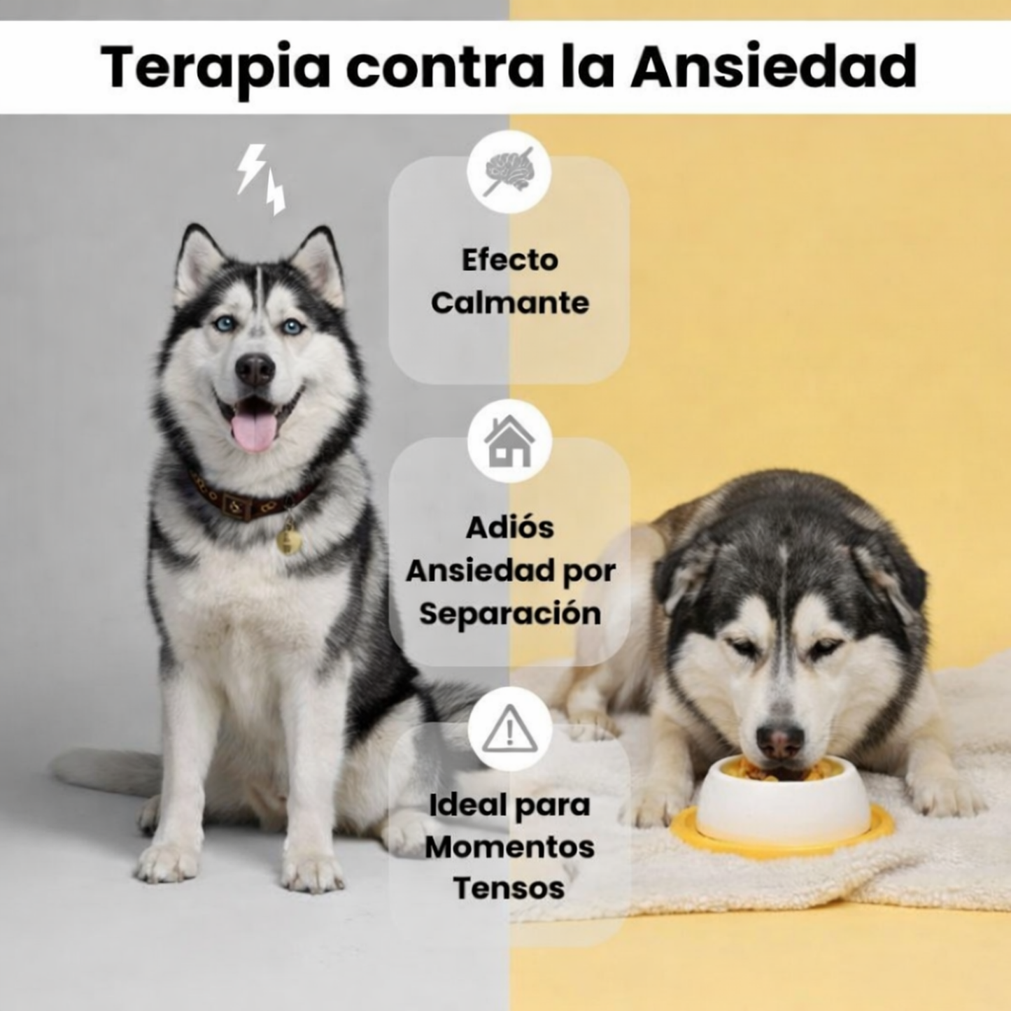 Dispensador de snacks antiestrés para mascotas