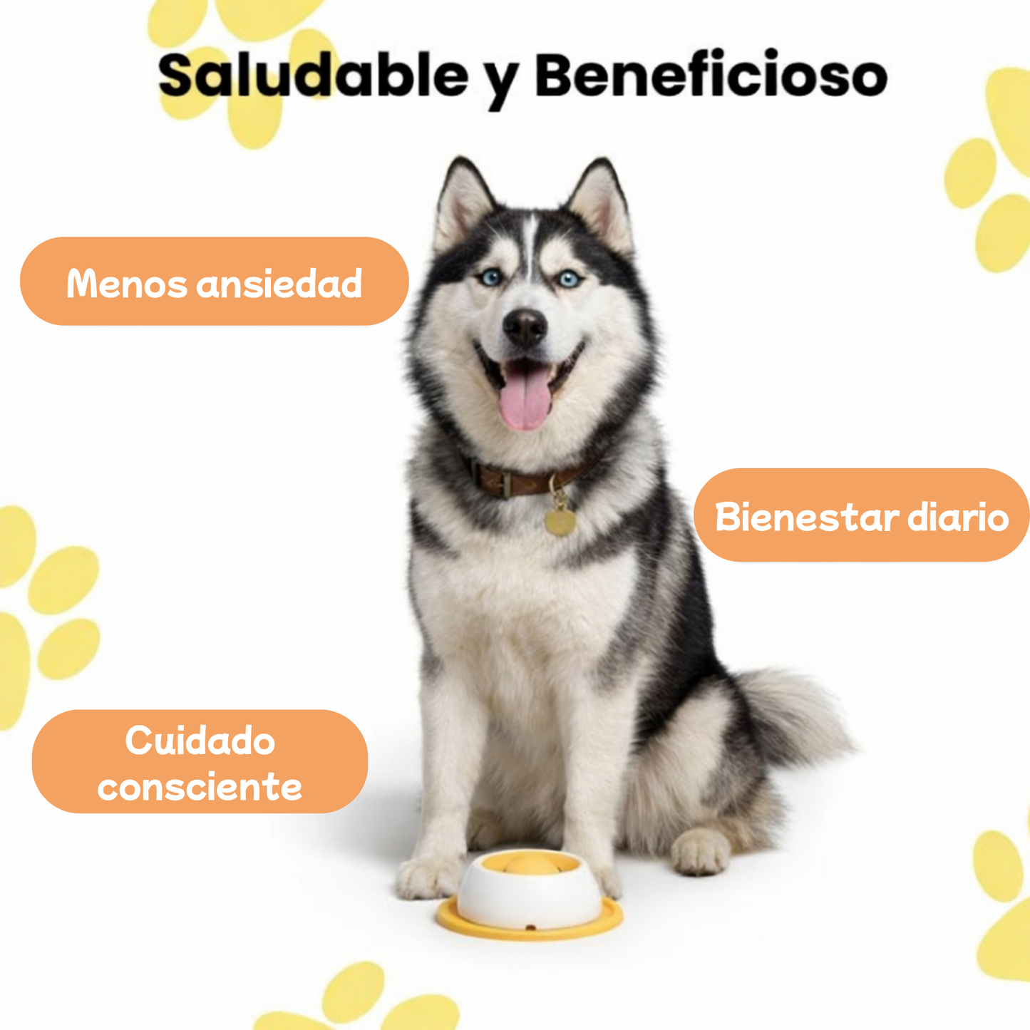 Dispensador de snacks antiestrés para mascotas