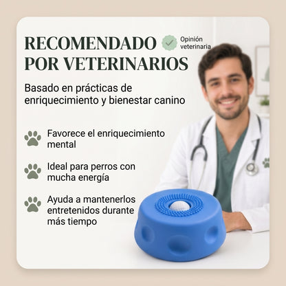 Bowl Enriquecedor para Perros